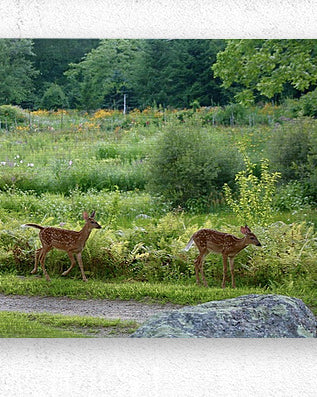 2374222 :: Brushed Metal Print