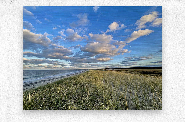 2375002 :: Brushed Metal Print