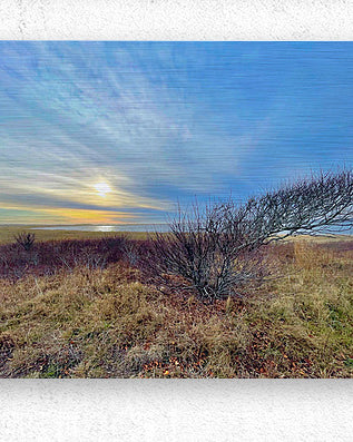 2385246 :: Brushed Metal Print