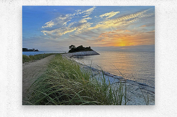 2442746 :: Brushed Metal Print