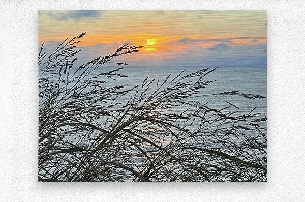 2454512 :: Brushed Metal Print