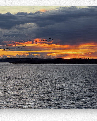 2477186 :: Brushed Metal Print