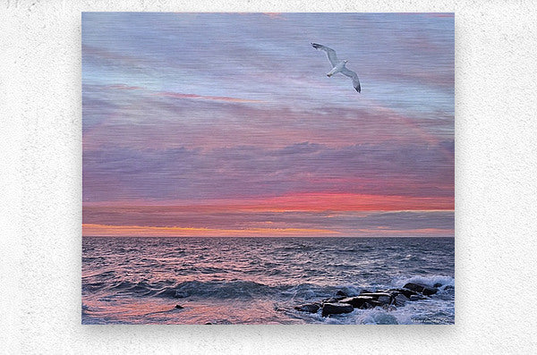 2479252 :: Brushed Metal Print