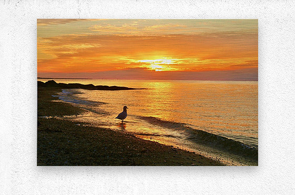 2483297 :: Brushed Metal Print