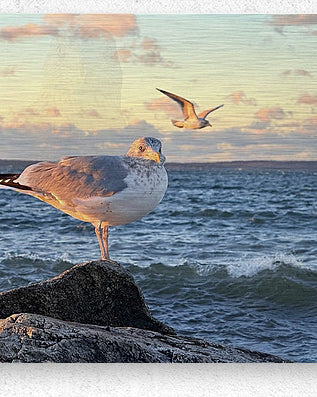 2486004 :: Brushed Metal Print