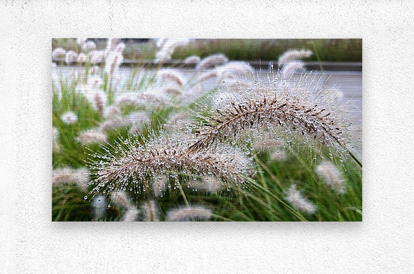 2495642 :: Brushed Metal Print