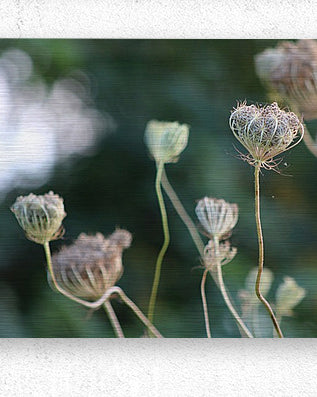 2495654 :: Brushed Metal Print