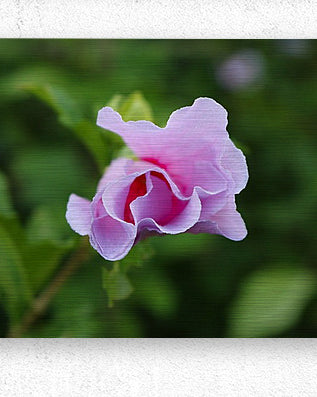 2495683 :: Brushed Metal Print