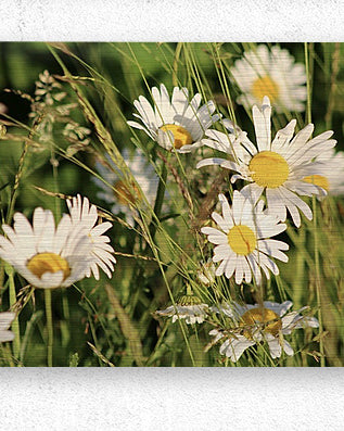 2496521 :: Brushed Metal Print