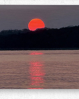 2498023 :: Brushed Metal Print