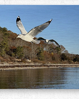 2498092 :: Brushed Metal Print