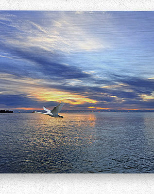 2498574 :: Brushed Metal Print