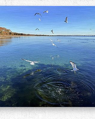 2498578 :: Brushed Metal Print