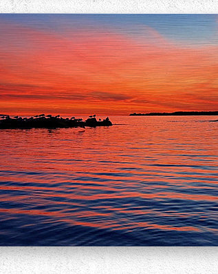 2503694 :: Brushed Metal Print