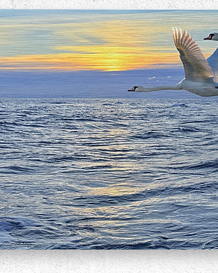 2503734 :: Brushed Metal Print