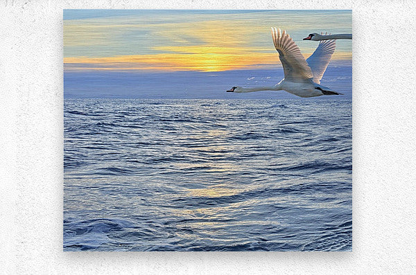 2503734 :: Brushed Metal Print