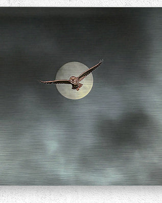 2508362 :: Brushed Metal Print