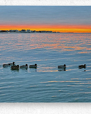 2511936 :: Brushed Metal Print