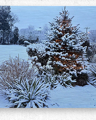 2511983 :: Brushed Metal Print