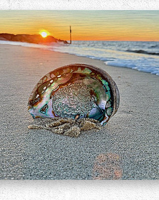 2516197 :: Brushed Metal Print