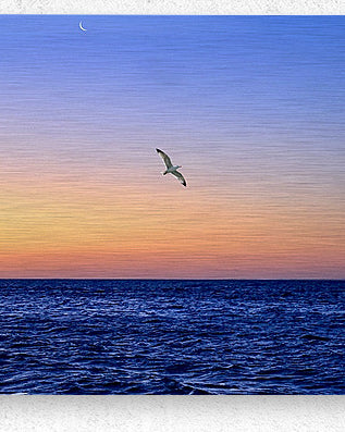 2516208 :: Brushed Metal Print