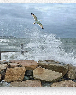 2516245 :: Brushed Metal Print