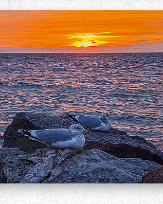 2519744 :: Brushed Metal Print