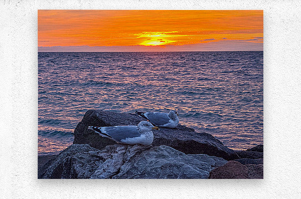 2519744 :: Brushed Metal Print