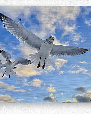 2521715 :: Brushed Metal Print