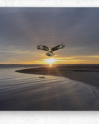 2521716 :: Brushed Metal Print