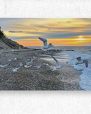 2528827 :: Brushed Metal Print