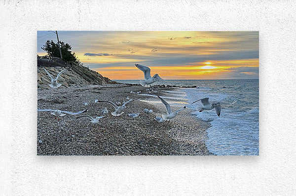 2528827 :: Brushed Metal Print