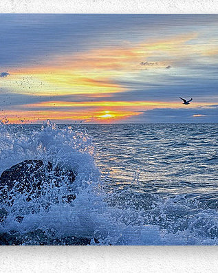 2529222 :: Brushed Metal Print