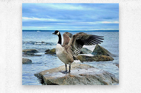 2530909 :: Brushed Metal Print