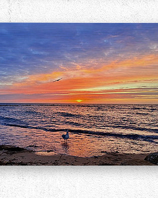 2540943 :: Brushed Metal Print