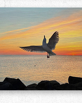 2552657 :: Brushed Metal Print