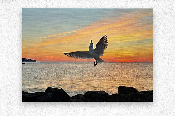 2552657 :: Brushed Metal Print