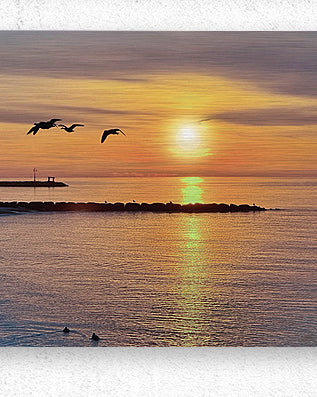 2603174 :: Brushed Metal Print