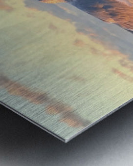 2486004 :: Brushed Metal Print