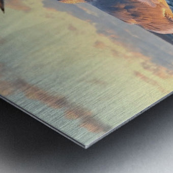 2486004 :: Brushed Metal Print