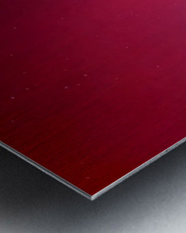 2491299 :: Brushed Metal Print