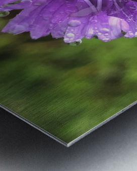 2495638 :: Brushed Metal Print