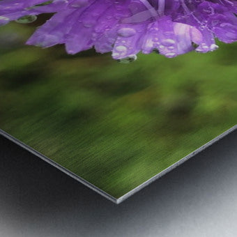 2495638 :: Brushed Metal Print