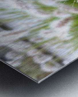 2495642 :: Brushed Metal Print