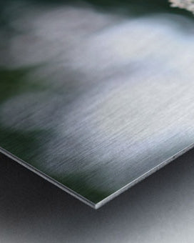 2495654 :: Brushed Metal Print