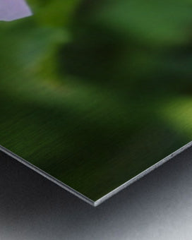 2495683 :: Brushed Metal Print