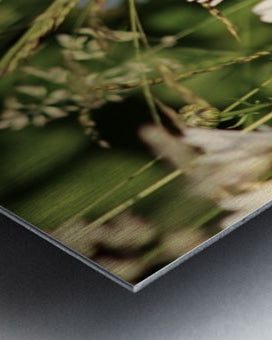 2496521 :: Brushed Metal Print