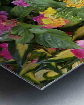 2498027 :: Brushed Metal Print