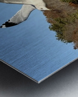 2498092 :: Brushed Metal Print