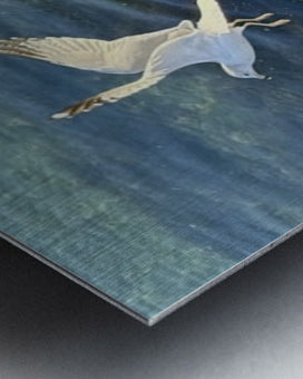 2498729 :: Brushed Metal Print